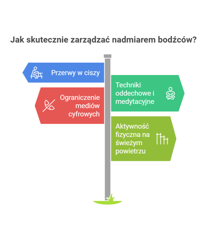 Jak skutecznie zarządzać nadmiarem bodźców - infografika